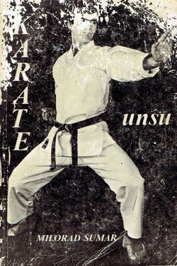 Karate Kata-unsu