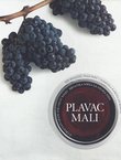 Plavac Mali. Hrvatska sorta za velika vina / A Croatian Grape for Great Wines