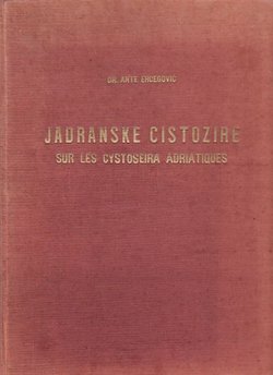 Jadranske cistozire. Njihova morfologija, ekologija i razvitak
