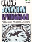 Galeb Jonathan Livingston (6.izd.)