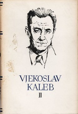 Divota prašine / Bijeli kamen (PSHK 119)