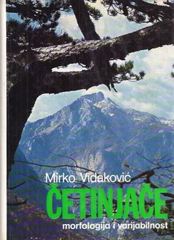 Četinjače. Morfologija i varijabilnost