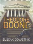 Theodore Boone dječak odvjetnik