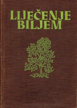 Liječenje biljem