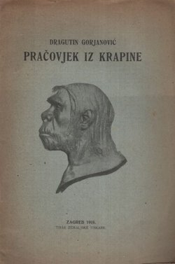 Pračovjek iz Krapine