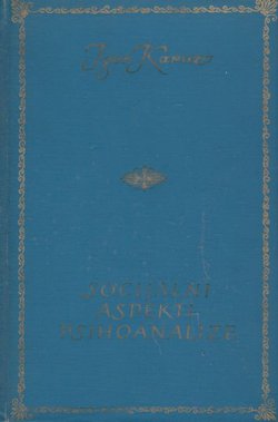 Socijalni aspekti psihoanalize