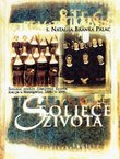 Stoljeće života. Školske sestre franjevke Krista Kralja u Hercegovini 1899.-1999.