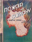 Požar na Balkanu. Slike životnog romana iz 1915 godine