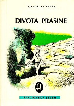 Divota prašine