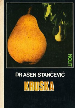 Kruška