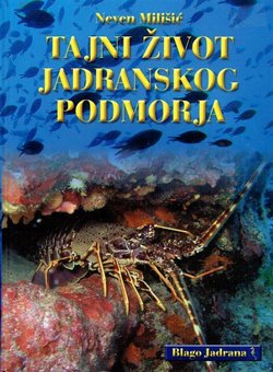 Tajni život Jadranskog podmorja