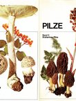 Pilze I-II