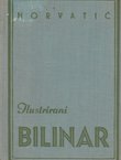 Ilustrirani bilinar