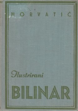 Ilustrirani bilinar