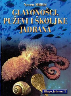 Glavonošci, puževi i školjke Jadrana