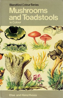 Mushrooms and Toadstools in Colour