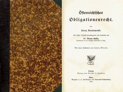 Lehrbuch des österreichischen Privatrechts III. Österreichisches Obligationenrecht