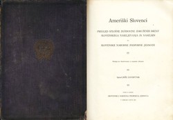 Ameriški Slovenci. Pregled splošne zgodovine Združenih Držav slovenskega naseljevanja in naselbin in Slovenske narodne podporne jednote
