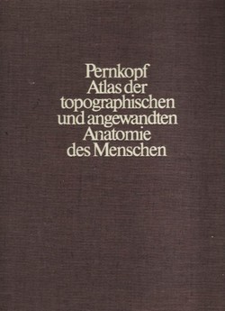 Atlas topographischen und angewandten Anatomie des Menschen 2. Brust, Bauch und Extremitäten (2.Aufl.)