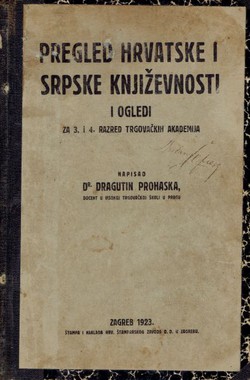 Pregled hrvatske i srpske književnosti i ogledi