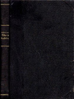 Slike iz rudstva. Kulturno-prirodopisne crtice