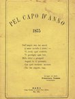 Pel Capo d'anno 1875
