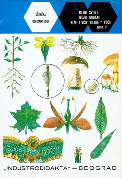 Biljni svijet, biljni organi, niže i više biljke - voće