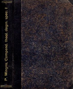 Compendium theologiae dogmaticae specialis I. Continens doctrinam de Deo, creatione, redemptione obectiva (2.ed.)