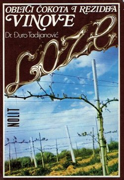 Oblici čokota i rezidba vinove loze