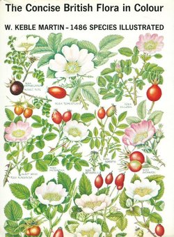 The Concise British Flora in Colour