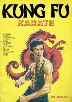 Kung Fu karate