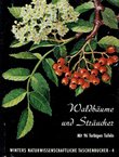 Waldbäume, Sträucher und Zwergholzgewächse