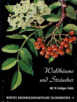 Waldbäume, Sträucher und Zwergholzgewächse