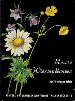Unsere Wiesenpflanzen
