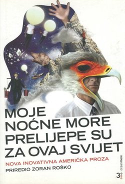 Moje noćne more prelijepe su za ovaj svijet. Nova inovativna američka proza