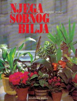 Njega sobnog bilja. Postupni prikaz