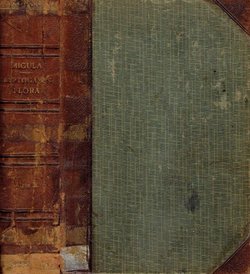 Kryptogramen-Flora von Deutschland, Deutsch-Österreich und der Schweiz II. Algen. Rhodophyceae, Phaeophyceae, Characeae