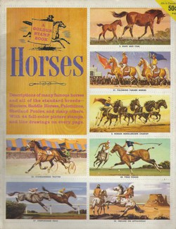 A Golden Stamp Book. Horses
