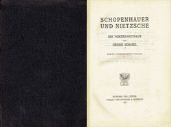 Schopenhauer und Nietzsche. Ein Vortragszyklus