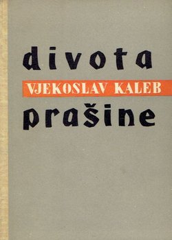 Divota prašine