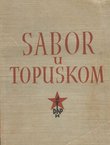 Sabor u Topuskom