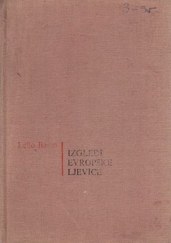 Izgledi evropske ljevice