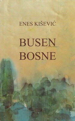 Busen Bosne