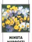 Minuta mudrosti