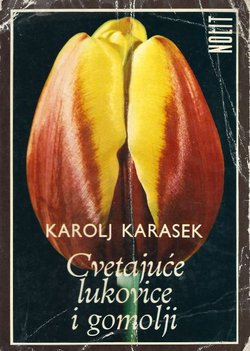 Cvetajuće lukovice i gomolji
