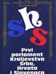 Prvi parlament Kraljevstva Srba, Hrvata i Slovenaca - privremeno narodno predstavništvo