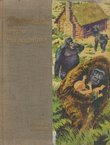 Tarzan među majmunima