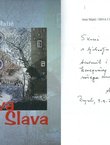 Diva i slava