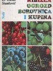 Ribizla, ogrozd, borovnica i kupina