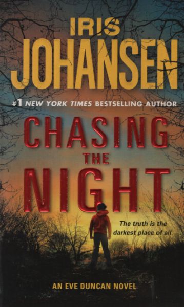Chasing The Night